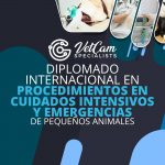 Diplomado Internacional en Procedimientos en Cuidados Intensivos y Emergencias  en pequeños animales