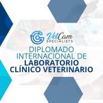 Diplomado de Laboratorio clínico Veterinario Profundización en Pequeños Animales