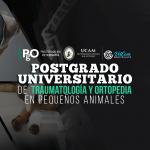 POSTGRADO UNIVERSITARIO DE TRAUMATOLOGIA Y ORTOPEDIA EN PEQUENOS ANIMALES