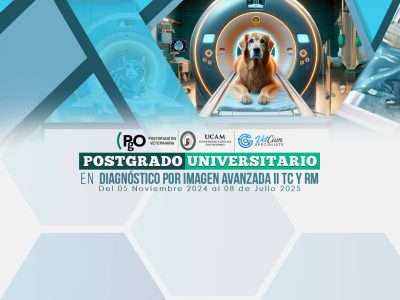 POSTGRADO UNIVERSITARIO EN RESONANCIA MAGNÉTICA Y TOMOGRAFÍA COMPUTARIZADA VETERINARIA