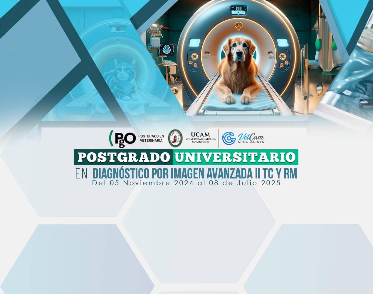 POSTGRADO UNIVERSITARIO EN DIAGNÓSTICO POR IMAGEN AVANZADA II TC Y RM