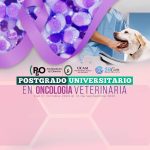 POSTGRADO UNIVERSITARIO EN ONCOLOGIA VETERINARIA