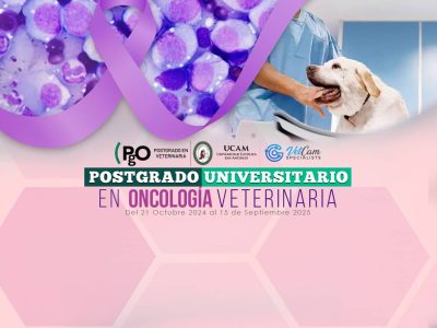 POSTGRADO UNIVERSITARIO EN ONCOLOGIA VETERINARIA